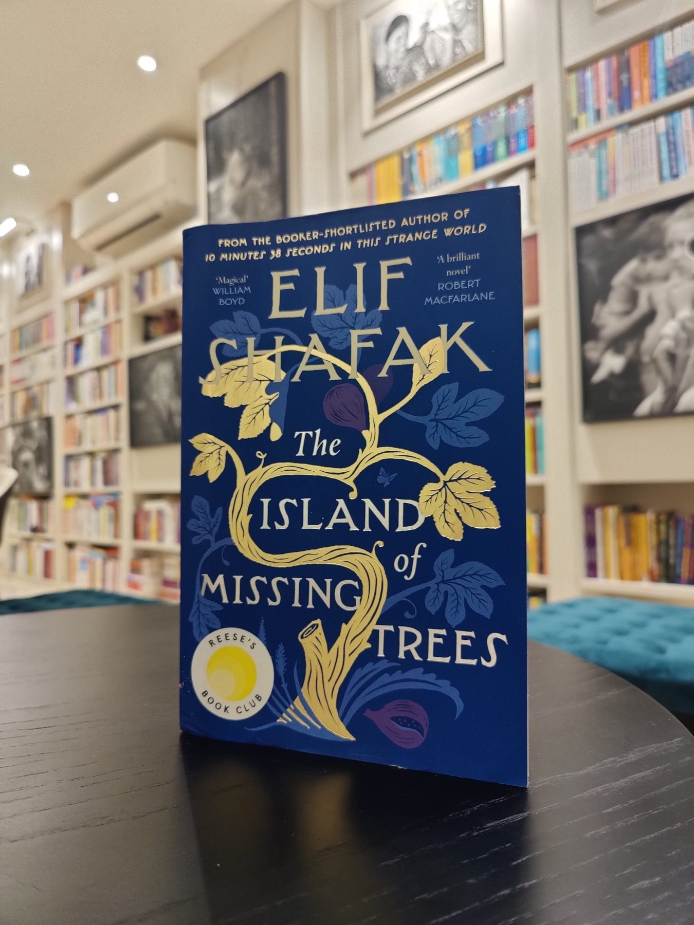 The Island of Missing Trees by Elif Shafak 
